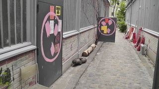 TRAVAUX 2007/2012