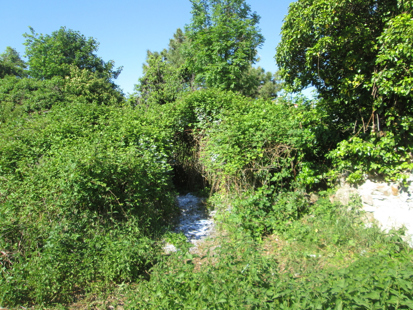 la CABANE d'ARNOLD